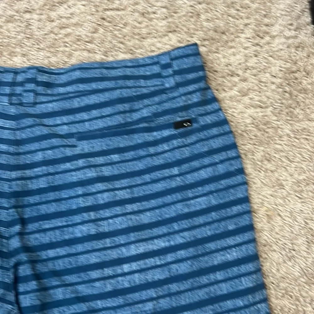 Oakley Blue Striped Board Shorts sz 40 NWT
